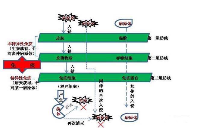 "微信图片_20170727163919.jpg/
