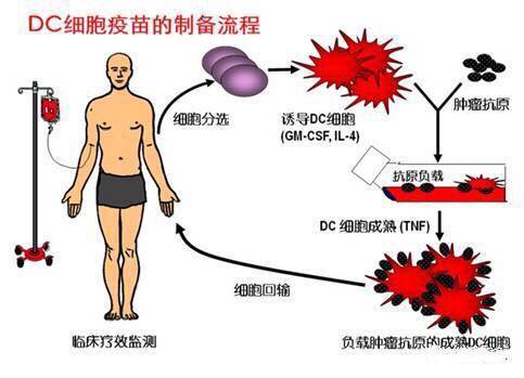 "微信图片_20170727164011.jpg/
