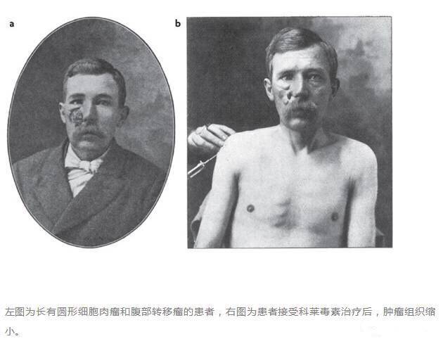 "微信图片_20170727165603.jpg/