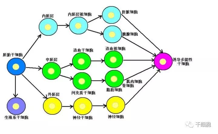 "微信图片_20170930104558.jpg/