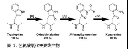 "微信图片_20180212155848.jpg