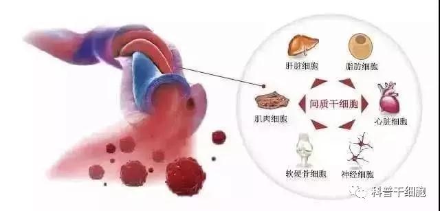 "微信图片_20190215162546.jpg