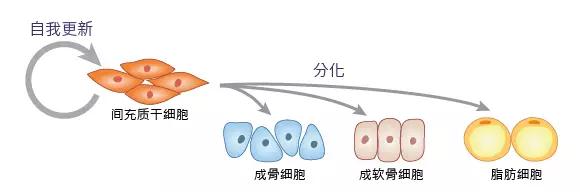 "微信图片_20190215163455.jpg/