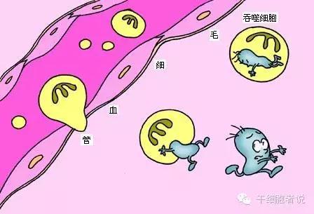 "微信图片_20190719152508.jpg/