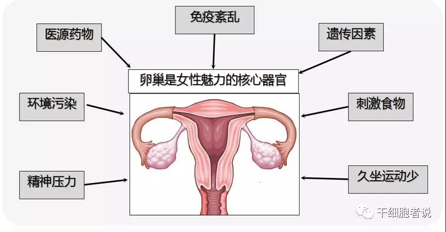 "微信图片_20190906155153.jpg