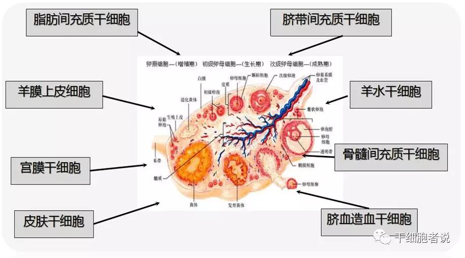 "微信图片_20190906155156.jpg