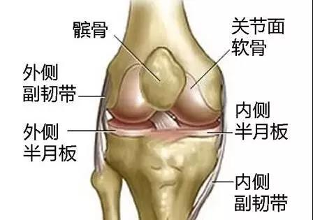 "微信图片_20191212150827.jpg/