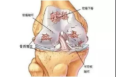 "微信图片_20191212150839.jpg/