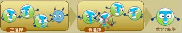 "微信图片_20200402151450.jpg/