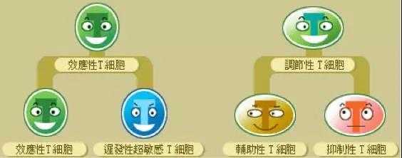 "微信图片_20200402151501.jpg/