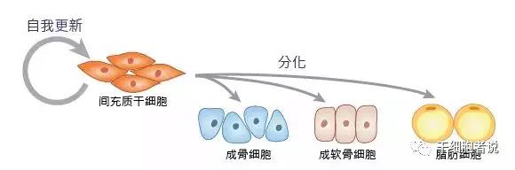 "微信图片_20200515125552.jpg/